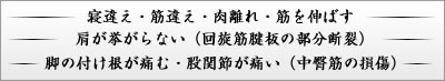 寝違え・筋違え・肉離れ・筋を伸ばす、肩が挙がらない（回旋筋腱板の部分断裂）、脚の付け根が痛む・股関節が痛い（中臀筋の損傷）